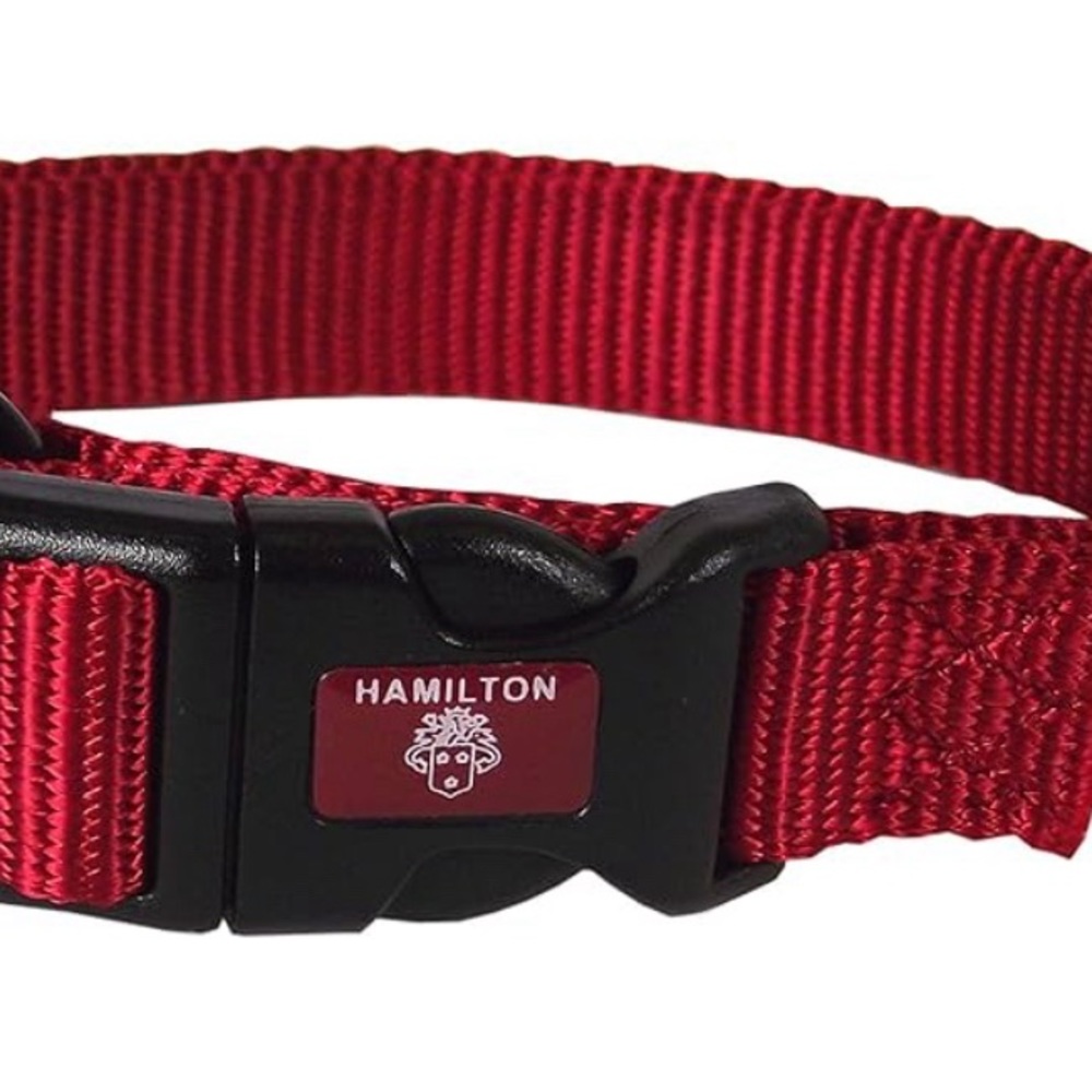 Small dog collar